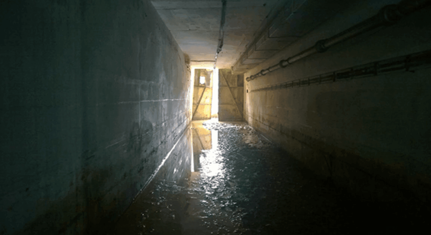 Secret WW2 Bunker Hidden In Woodlands Unknown To Locals